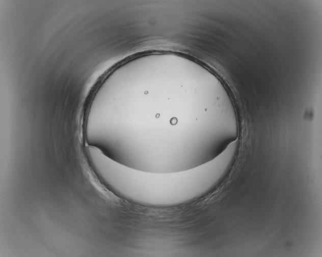 X0000113151128200910021456