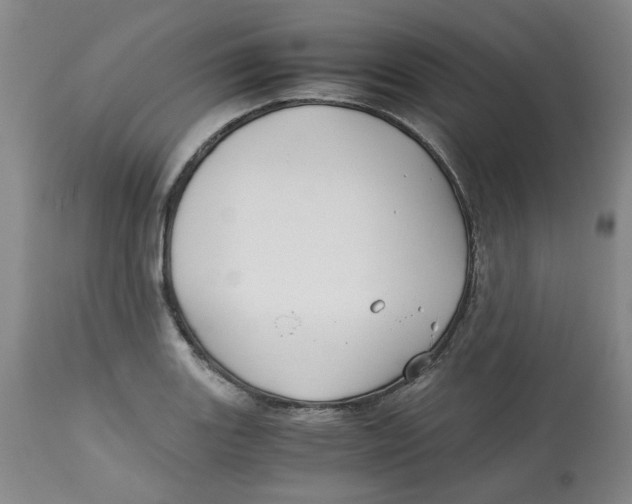 X0000113151131200910021456