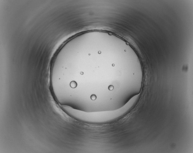 X0000113151132200910021456