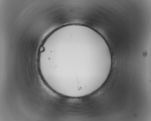 X0000113151135200910021456