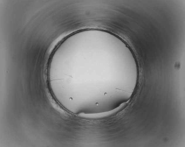 X0000113151136200910021456