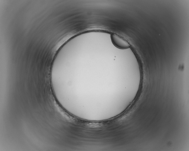 X0000113151137200910021456