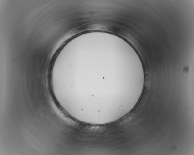 X0000113151139200910021456