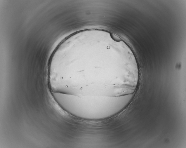 X0000113151140200910021456