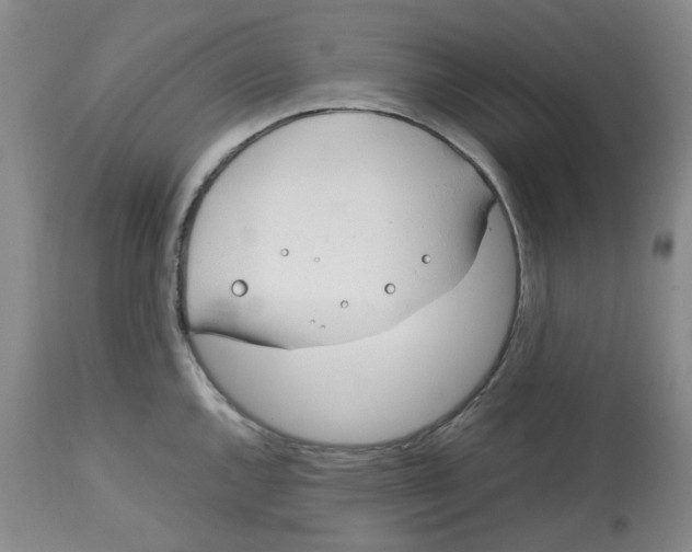 X0000113151144200910021456