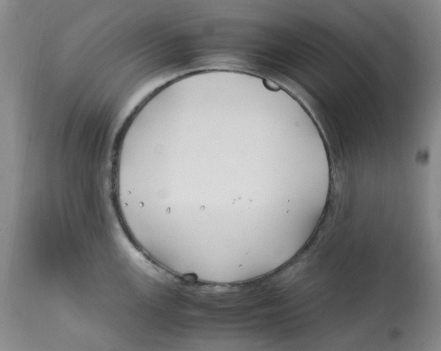 X0000113151147200910021457