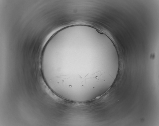 X0000113151148200910021457