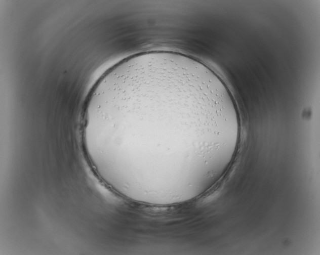 X0000113151149200910021457