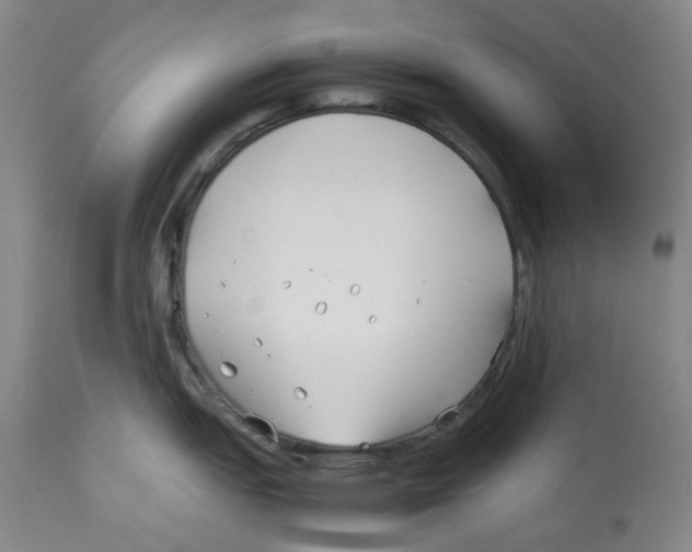 X0000113151151200910021457