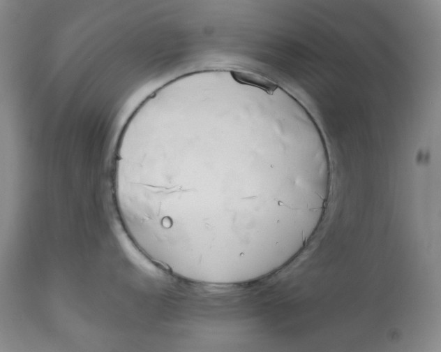 X0000113151152200910021457