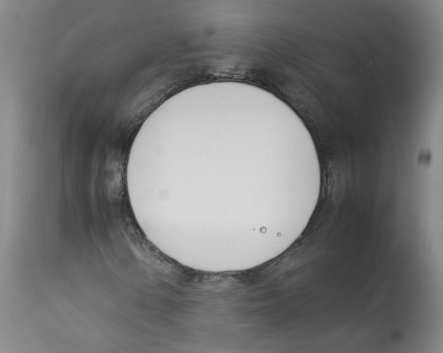 X0000113151154200910021456