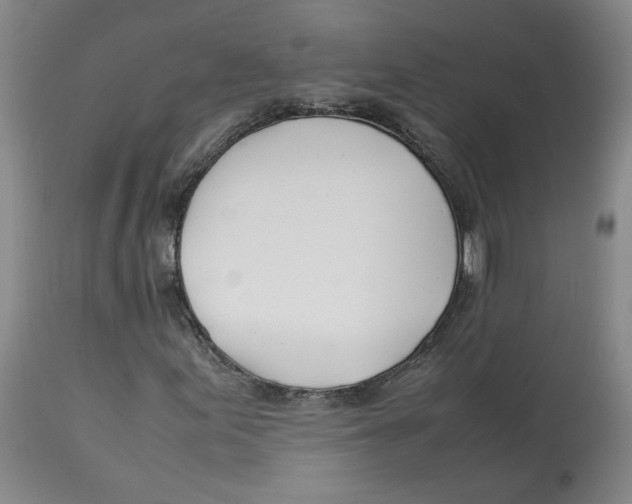 X0000113151155200910021456