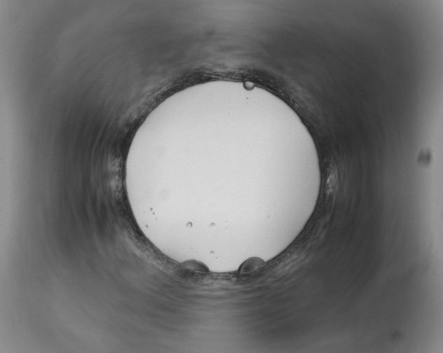 X0000113151156200910021456