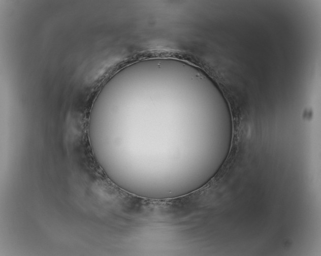 X0000113151157200910021456