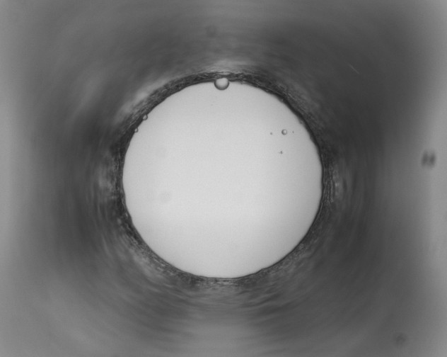 X0000113151158200910021456