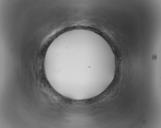 X0000113151159200910021456