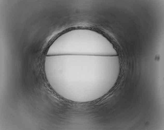 X0000113151160200910021456