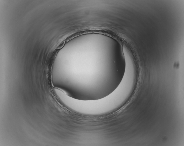 X0000113151161200910021456