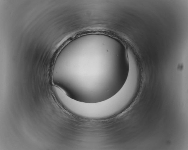 X0000113151162200910021456