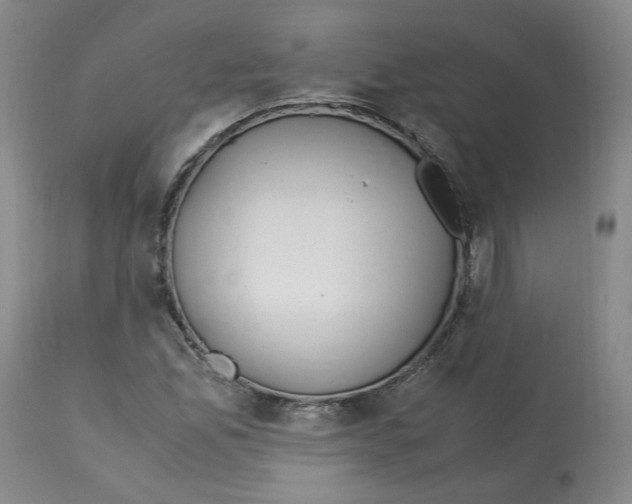 X0000113151165200910021456