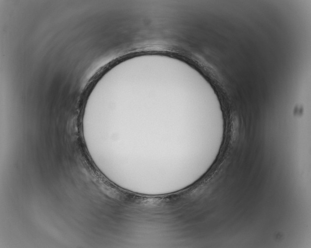 X0000113151166200910021456