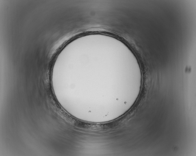 X0000113151167200910021456