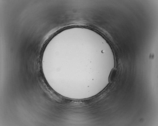 X0000113151168200910021456