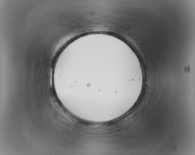 X0000113151171200910021456