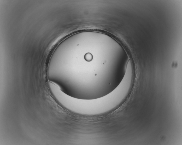 X0000113151173200910021455