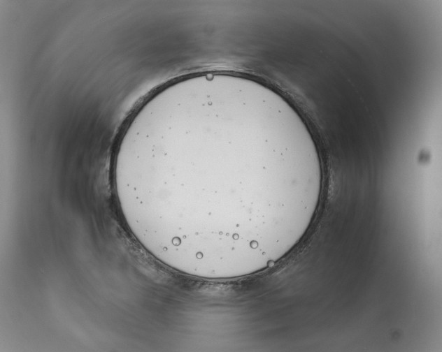 X0000113151174200910021455