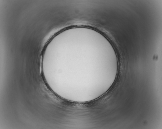 X0000113151175200910021455