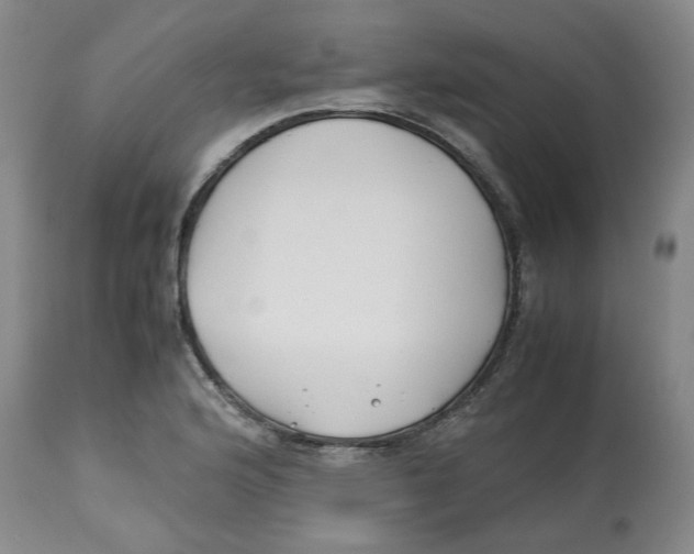 X0000113151176200910021455