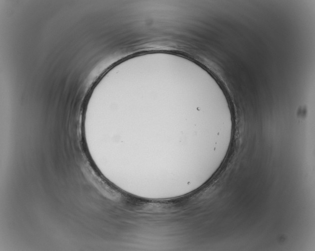 X0000113151179200910021455