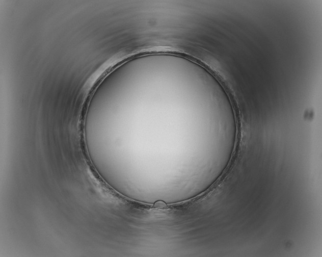 X0000113151181200910021455