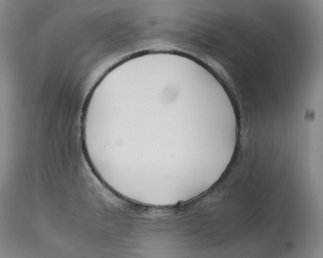 X0000113151183200910021455