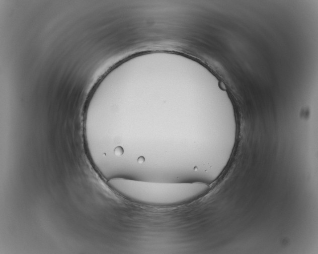 X0000113151184200910021455