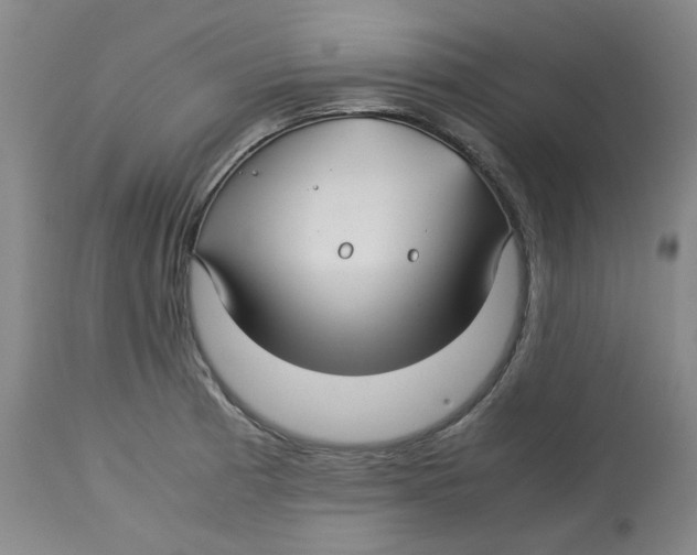 X0000113151185200910021455