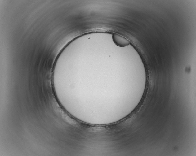 X0000113151186200910021455