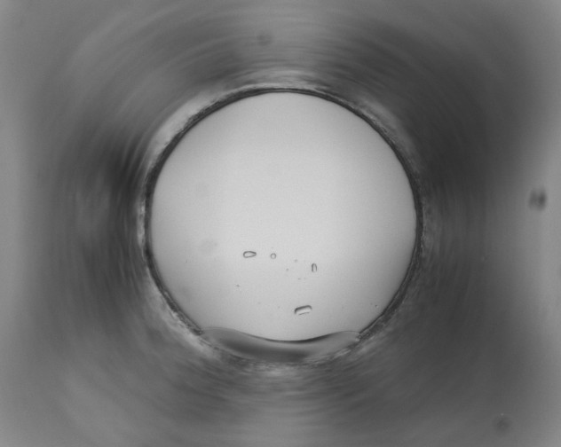 X0000113151188200910021455