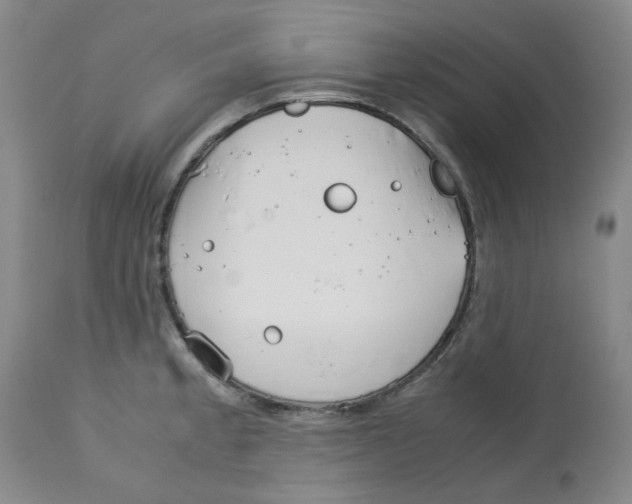 X0000113151189200910021455