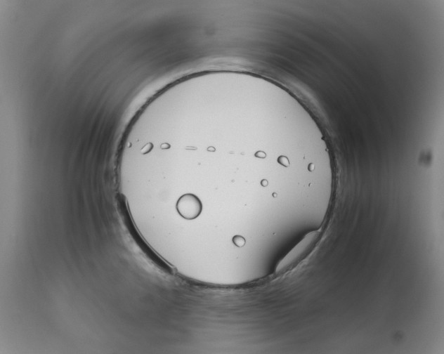 X0000113151192200910021455