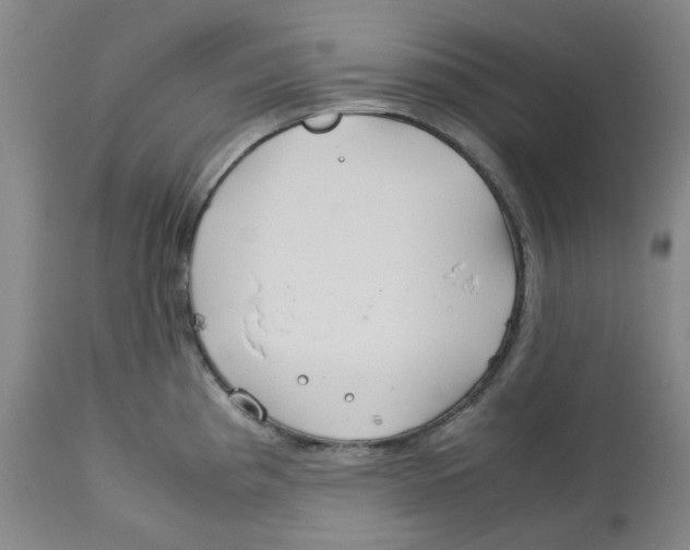 X0000113151193200910021455