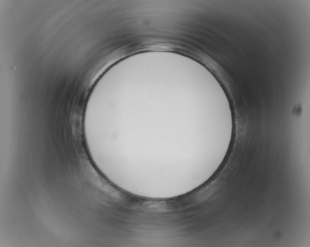 X0000113151194200910021455