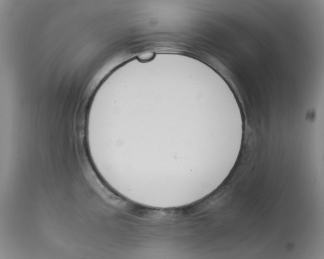 X0000113151195200910021455