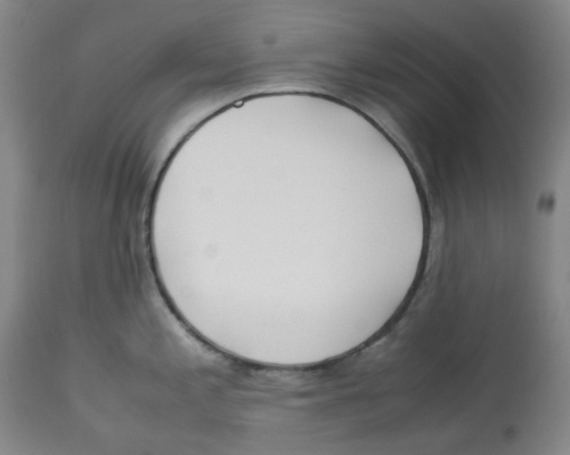 X0000113151197200910021455