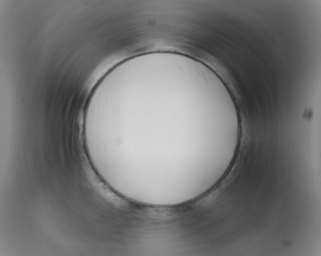 X0000113151198200910021455