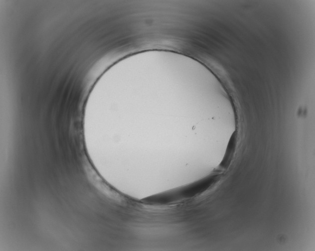 X0000113151200200910021455