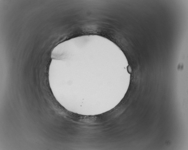 X0000113151201200910021454