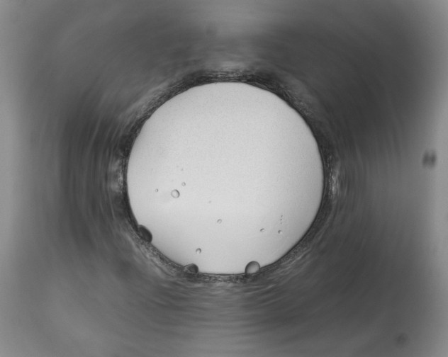 X0000113151204200910021455