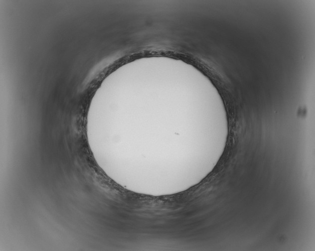 X0000113151207200910021455